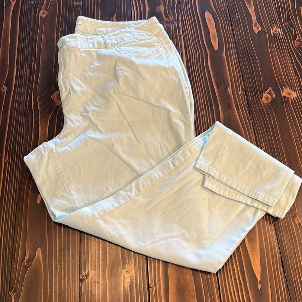 Mint green pants. Size 18W